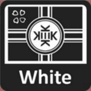 White MBTI Personality Type image