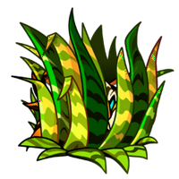 profile_Tiger Grass