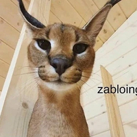 profile_Zabloing (Floppaverse)