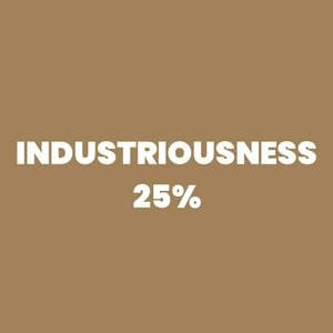 Industriousness 25% MBTI Personality Type image