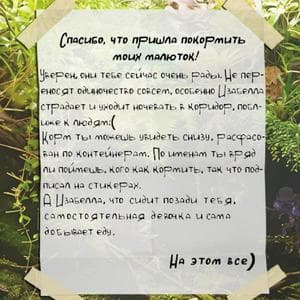 Дед с тараканами MBTI Personality Type image