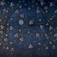 profile_Planet X