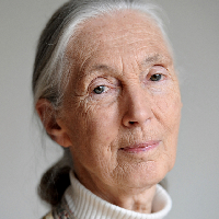 Jane Goodall mbtiパーソナリティタイプ image