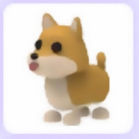 Shiba Inu MBTI Personality Type image