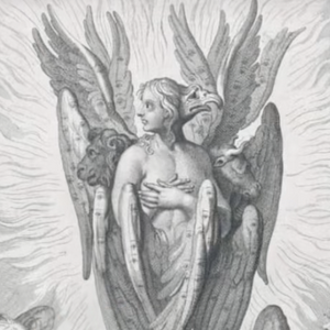 profile_Cherub/Cherubim