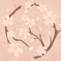 profile_Cherry Blossom