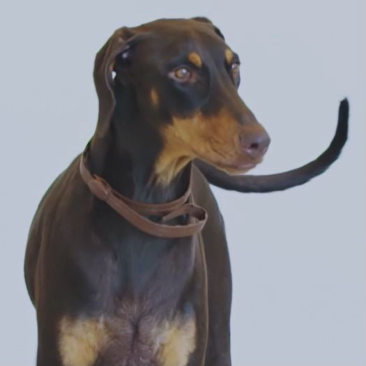 Bam (BTS) MBTI Personality Type image