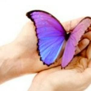 profile_Butterfly