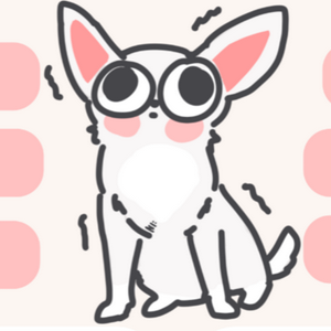 profile_Chihuahua