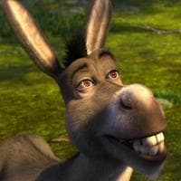 Donkey tipo di personalità MBTI image