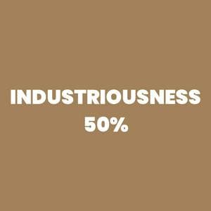 Industriousness 50% typ osobowości MBTI image