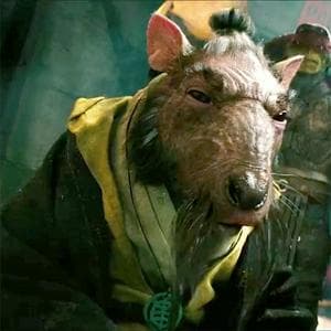 profile_Splinter