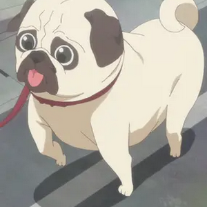 Dog MBTI Personality Type image