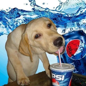 Wafel MBTI Personality Type image