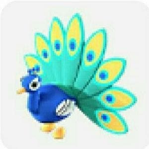 profile_Peacock