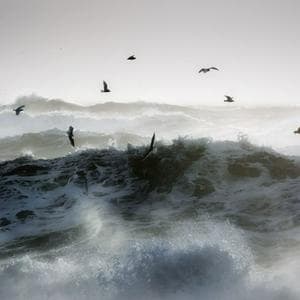 profile_Ocean Waves
