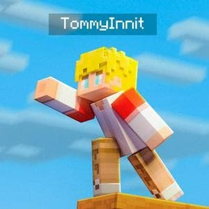 profile_Tommyinnit