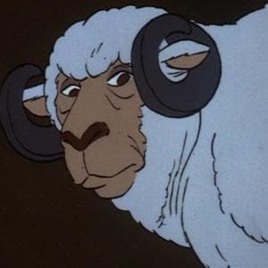 profile_Old Sheep