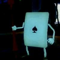 profile_Playing Cards