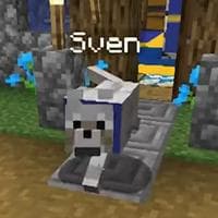 profile_Sven