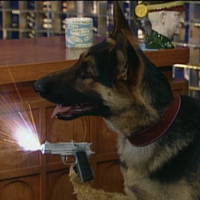 Ginger the Homicidal Dog MBTI Personality Type image