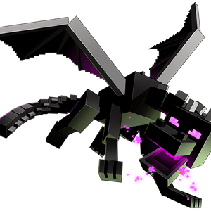 profile_Dragón