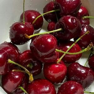 profile_Cherry