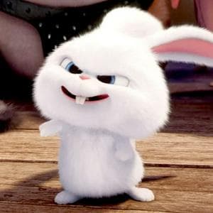 profile_Snowball