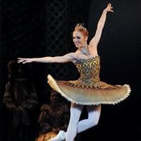 profile_Gold Fairy