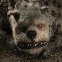 profile_Bandersnatch