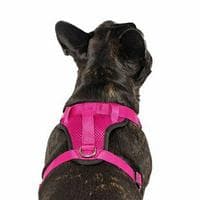profile_Pink