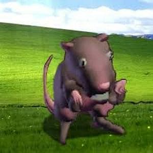 Canal: Ratatin Gaming