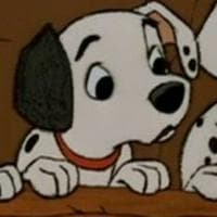 profile_Dipstick