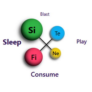 profile_FM-Si/Fi-SC/P(B)