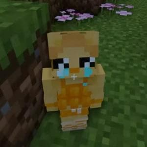 profile_ManePear