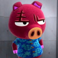 Rasher MBTI Personality Type image