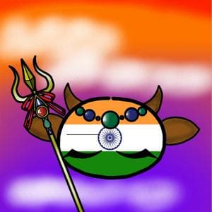 profile_Indiaball