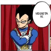 profile_Vegeta