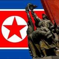 Aegukka (North Korea) MBTI Personality Type image