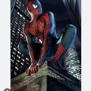 Spider-Man (persona) MBTI Personality Type image
