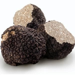 Truffle mushroom MBTI Personality Type image