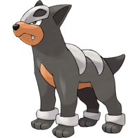 profile_Houndour