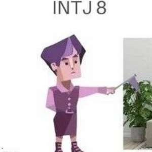 profile_INTJ 8