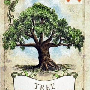profile_Tree - V