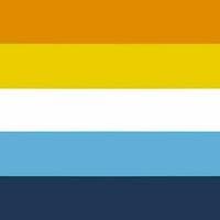 profile_Aro/ace