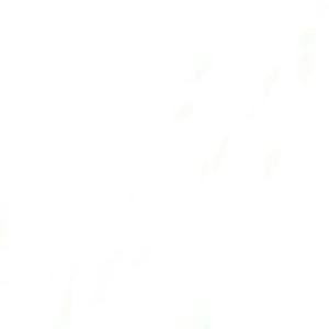 profile_Duyhdgdh