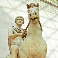 Incitatus MBTI Personality Type image