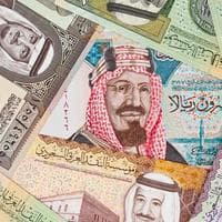 profile_Saudi Riyal (SAR)