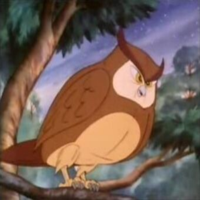 Tawny Owl mbtiパーソナリティタイプ image