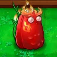profile_Scorch-nut
